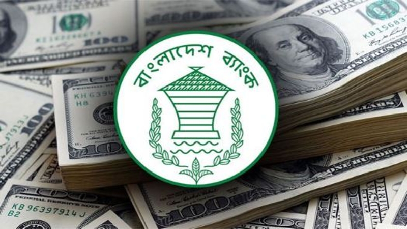জুলাইয়ে রেমিট্যান্স এসেছে প্রায় ২৪৮ কোটি ডলার