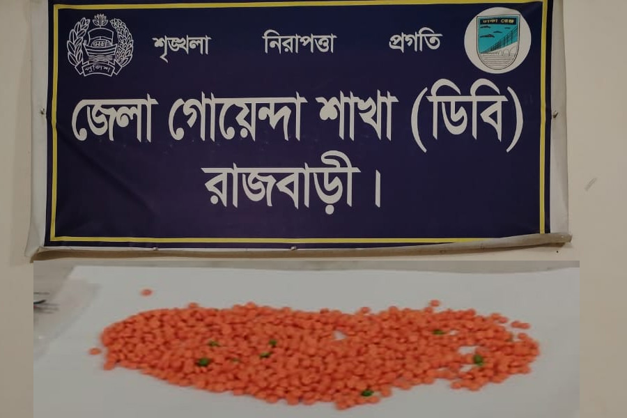 রাজবাড়ীতে ৯১০ পিস ইয়াবাসহ ২ মাদক কারবারি গ্রেপ্তার