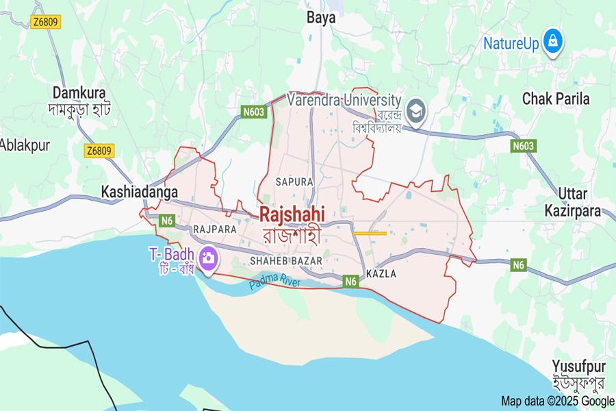 ডিসি ফুড ও আরসি ফুডের ছত্রছায়ায় লুটপাটের অভিযোগ