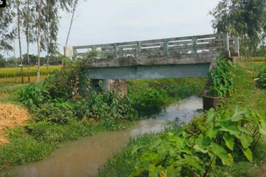 সেতুটি কোনো কাজে আসছে না