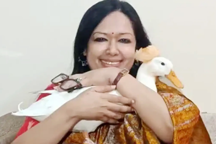 হাঁস কোলে নিয়ে স্মৃতিচারণ করলেন রুমিন ফারহানা