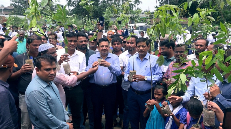 পাবনায় গাছের চারা বিতরণ করলেন শিমুল বিশ্বাস