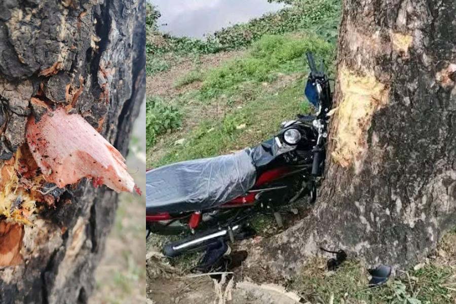 শিমুল বাগানে যাওয়া হলনা সাফিকুলের