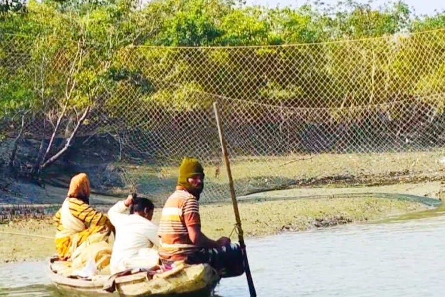 কাঁকড়া আহরণে নিষেধাজ্ঞায় বেকার বাওয়ালির জীবন