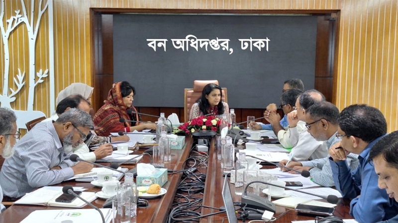বনভূমি ২০% উন্নীত করতে সুপরিকল্পিত কর্মসূচি গ্রহণ: রিজওয়ানা