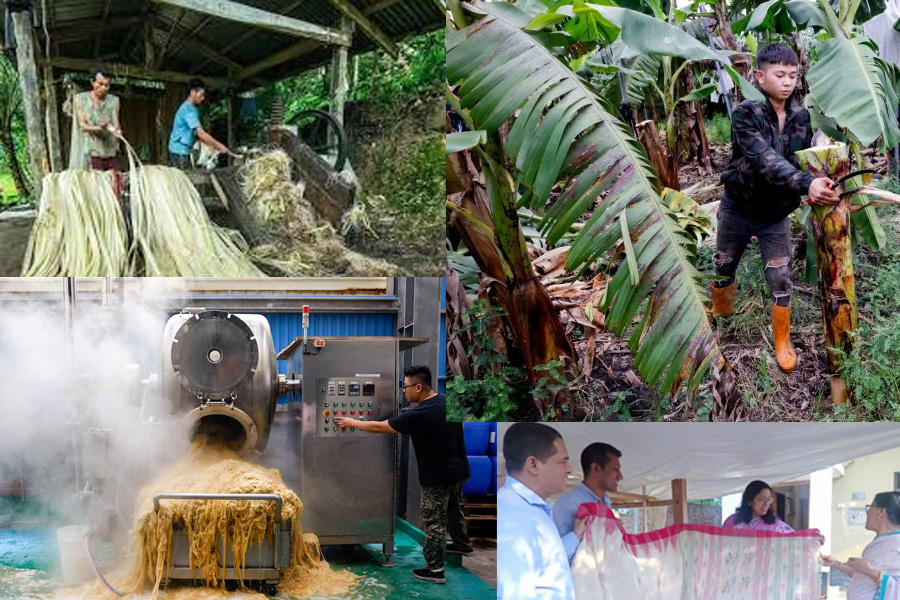 কলা গাছের আঁশে টেকসই কাপড় তৈরি তাইওয়ানের