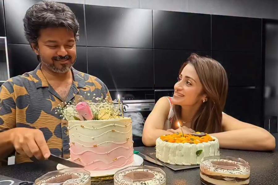 বিজয়ের জন্মদিনে তৃষার পোস্ট, থামল সম্পর্কের গুঞ্জন?