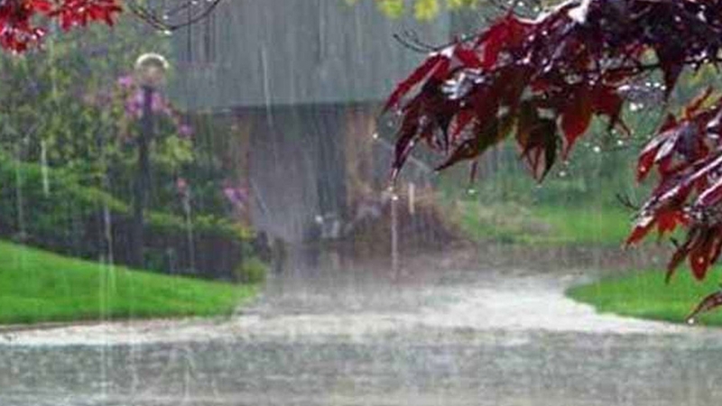 দেশজুড়ে বজ্রসহ বৃষ্টির পূর্বাভাস