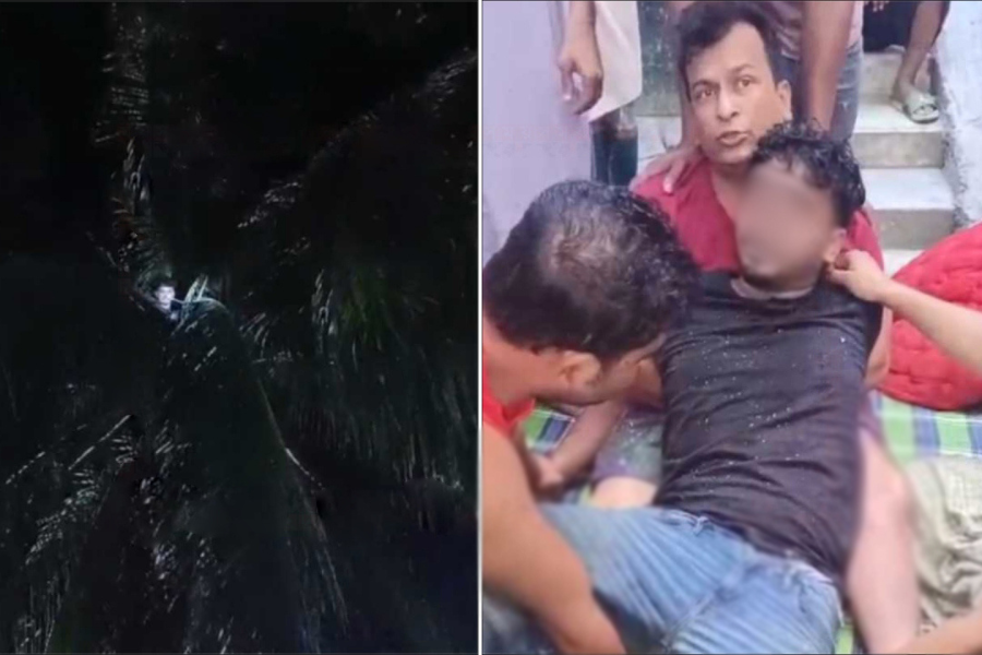 মধ্যরাতে নারিকেল গাছের চূড়ায় কলেজছাত্র, ফায়ার সার্ভিস ডেকে উদ্ধার
