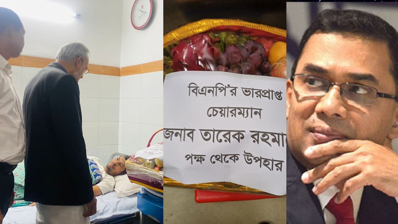 ডেঙ্গু আক্রান্ত সাংবাদিক আরিফ শাওনের খোঁজ নিলেন তারেক রহমান