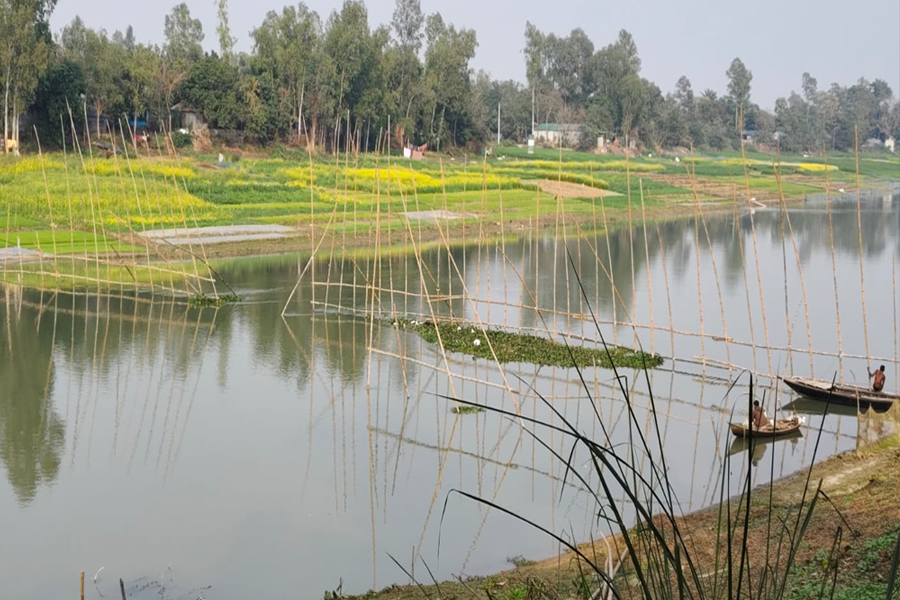 ভাঙ্গুড়ায় চুরি, ডাকাতি ঠেকাতে গুমানি নদীতে বাঁশের বেড়া