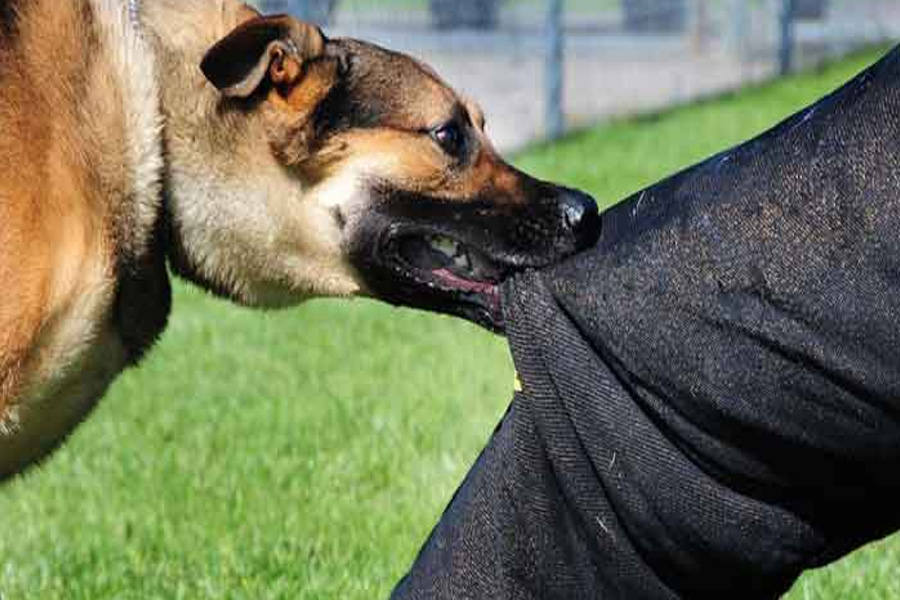 প্রাণঘাতী ভাইরাস, সচেতনতাই একমাত্র সুরক্ষা