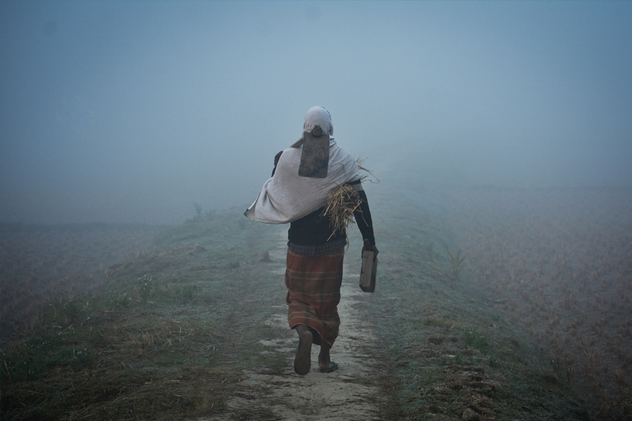 ফেব্রুয়ারিতে ফের ৮ ডিগ্রিতে নামতে পারে তাপমাত্রা