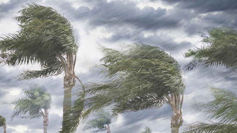 সন্ধ্যার মধ্যে যেসব জেলায় ঝড়ের শঙ্কা