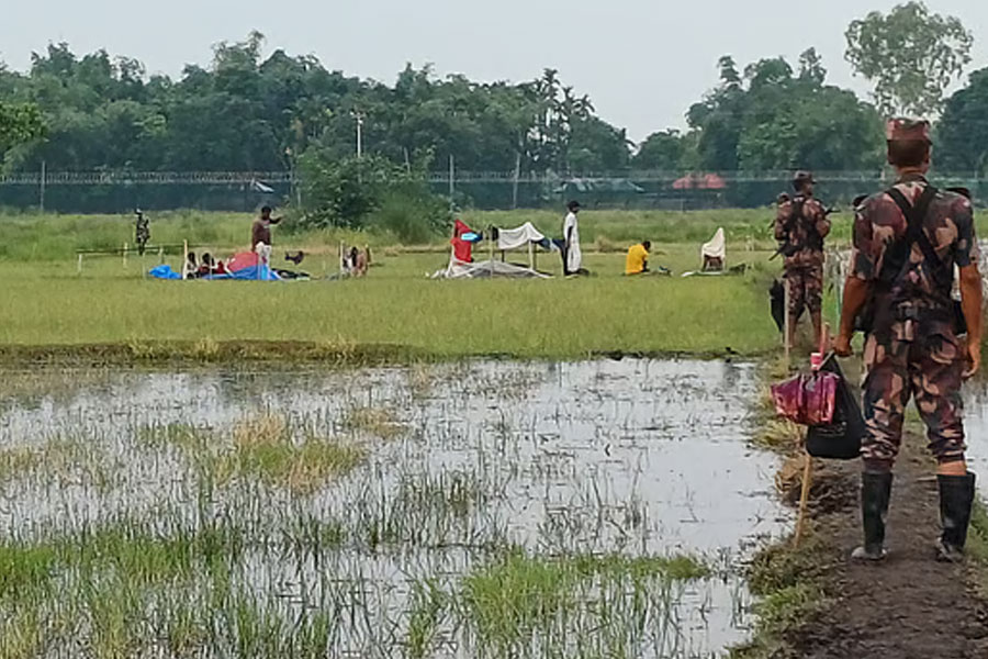 বন্দুক দেখিয়ে নারী-শিশুদের বাংলাদেশে ঢোকাচ্ছে বিএসএফ: এপিডিআর