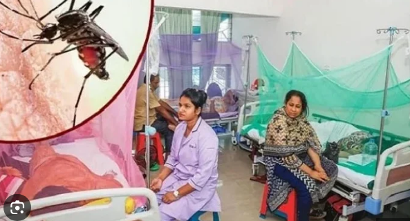 গত ২৪ ঘণ্টায় ডেঙ্গুতে মৃত ৬