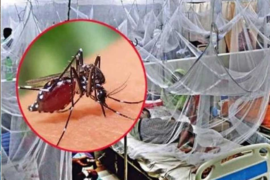 ডেঙ্গুতে আরও ৩ জনের মৃত্যু