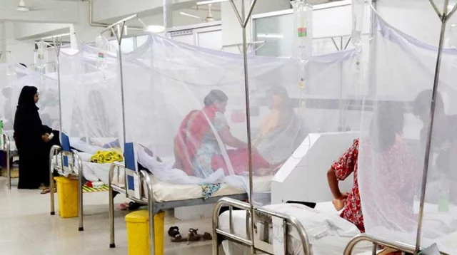 ডেঙ্গুতে আরও ৪ জনের মৃত্যু