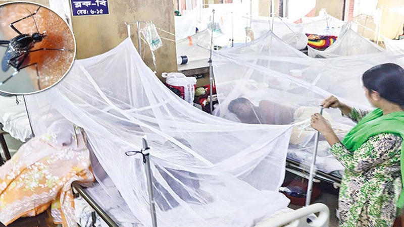 ডেঙ্গুতে আক্রান্ত হয়ে আরও ৩ জনের মৃত্যু