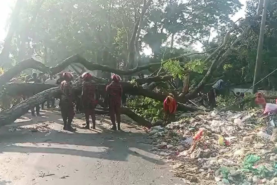 ঢাকা-বরিশাল মহাসড়কে গাছ ফেলে লকডাউন কর্মসূচি পালন