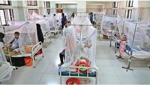 ডেঙ্গু আক্রান্ত আরও হাসপাতালে ভর্তি ৩০৮ জন