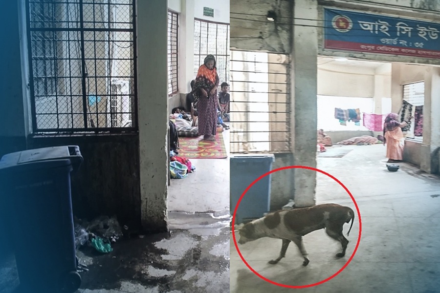 হাসপাতাল চত্বরে আবর্জনা, আইসিইউ ওয়ার্ডে কুকুর