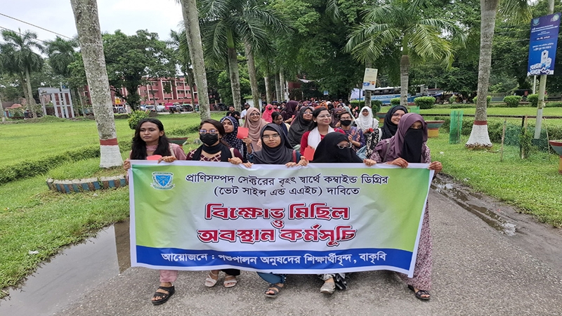 বাহা'কে লাল কার্ড দেখালো বাকৃবির পশুপালন অনুষদের শিক্ষার্থীরা