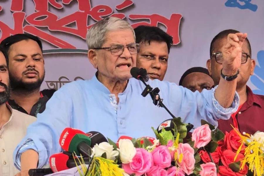 অস্থিতিশীলতা সৃষ্টির অপচেষ্টা রুখতে সজাগ থাকতে হবে: মির্জা ফখরুল