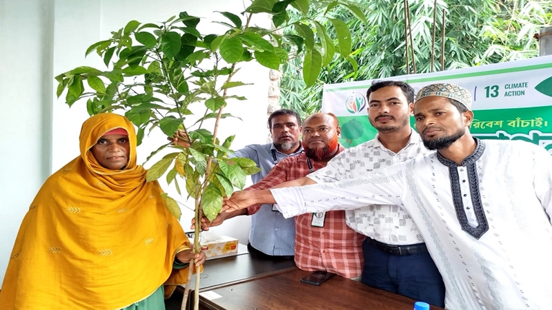 ফুলবাড়ীতে ছওয়াব ফাউন্ডেশনের উদ্যোগে গাছের চারা বিতরণ