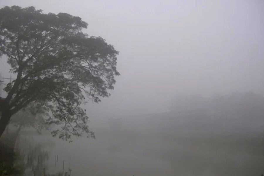 প্রকৃতির নতুন সাজে শীতের আগমনী বার্তায় রুপবদল