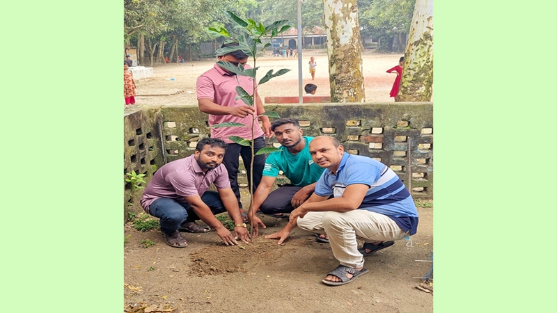 আলোকধারা যুব সংগঠনের উদ্যোগে বৃক্ষরোপন কর্মসূচি অনুষ্ঠিত