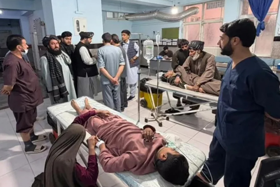 পিকনিক স্পটে বন্দুক হামলায় নিহত ১১