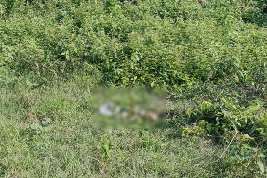 ছাগল খুঁজতে গিয়ে মিলল মানুষের মাথার খুলি