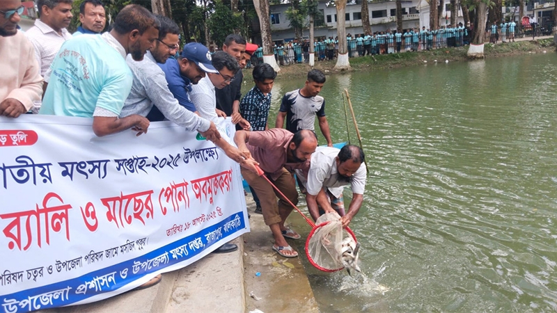 রাজাপুরে মৎস্য সপ্তাহে জেলেদের উৎসব