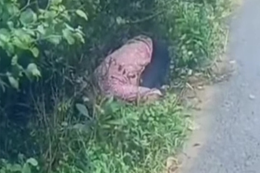 কুলিয়ারচরে অজ্ঞাত এক নারীর লাশ উদ্ধার