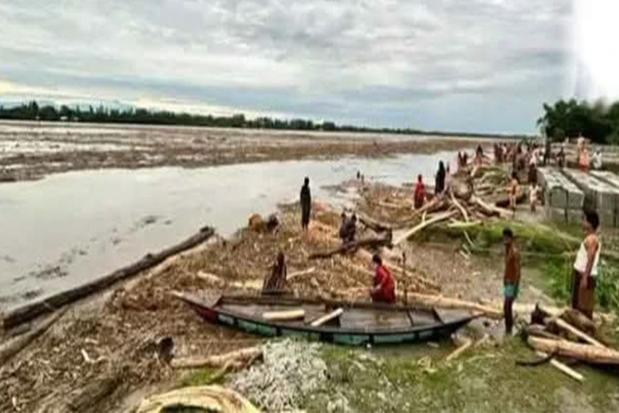 কুড়িগ্রামের কালজানি নদী দিয়ে ভেসে আসছে গাছের গুড়ি