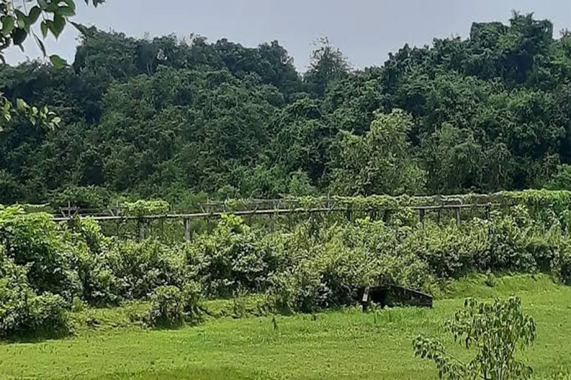 উখিয়া সীমান্তে ল্যান্ডমাইন বিস্ফোরণে রোহিঙ্গা যুবক আহত