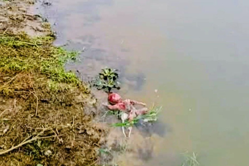 কেন্দুয়ায় নদীতে নবজাতকের মরদেহ, এলাকায় চাঞ্চল্য