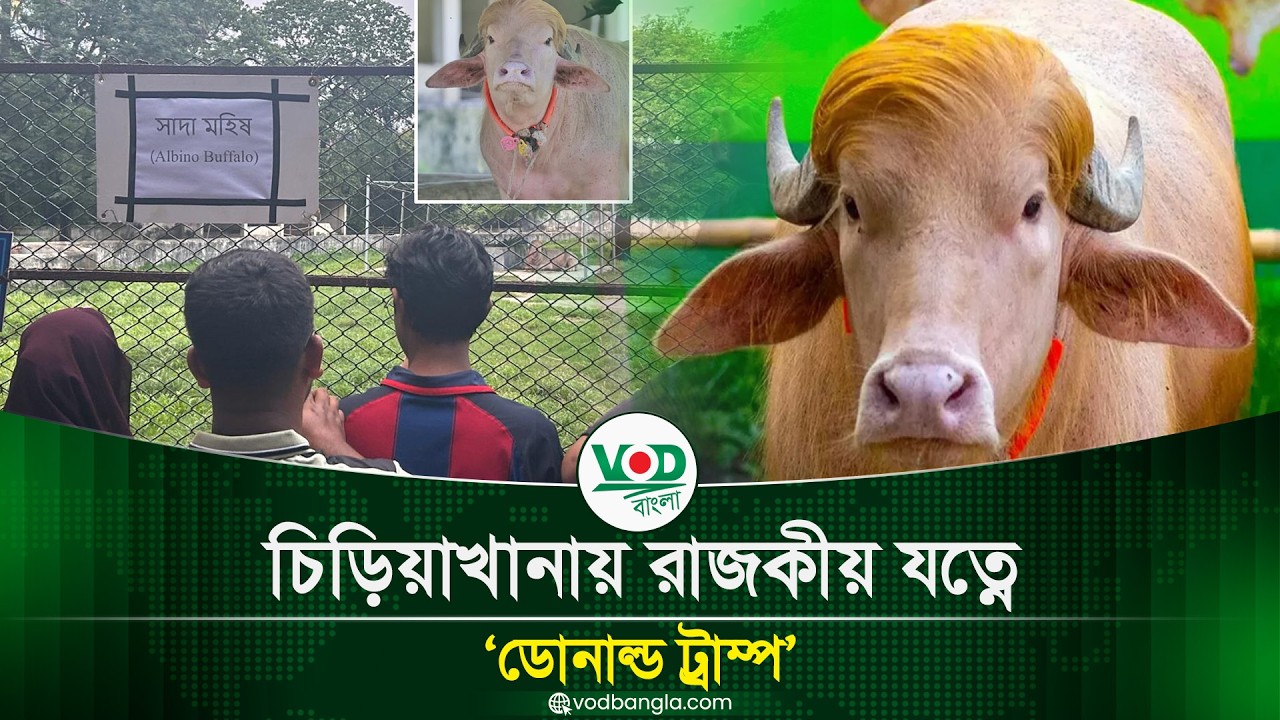 চিড়িয়াখানায় রাজকীয় যত্নে ‘ডোনাল্ড ট্রাম্প
