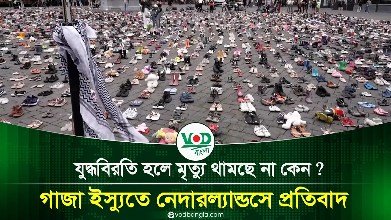যুদ্ধবিরতি হলে মৃ* ত্যু থামছে না কেন?, গাজা ইস্যুতে নেদারল্যান্ডসে প্রতিবাদ