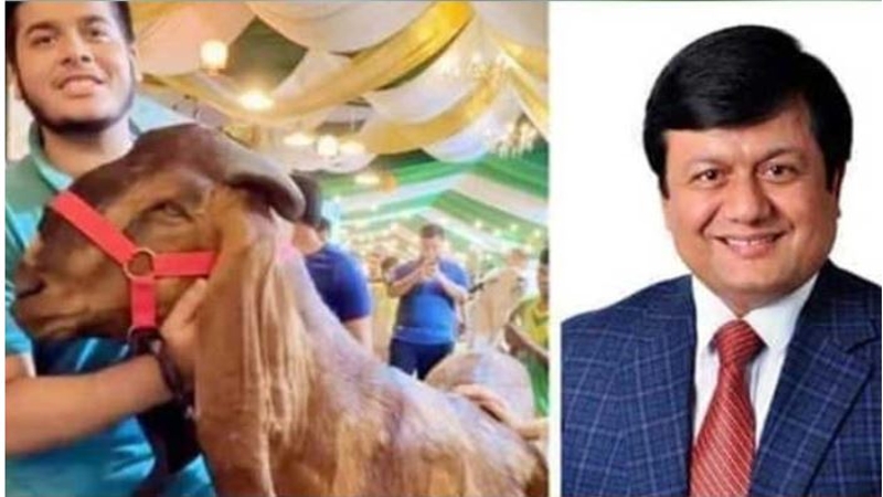 আদালতে কাঁদলেন ছাগলকাণ্ডের সেই মতিউর