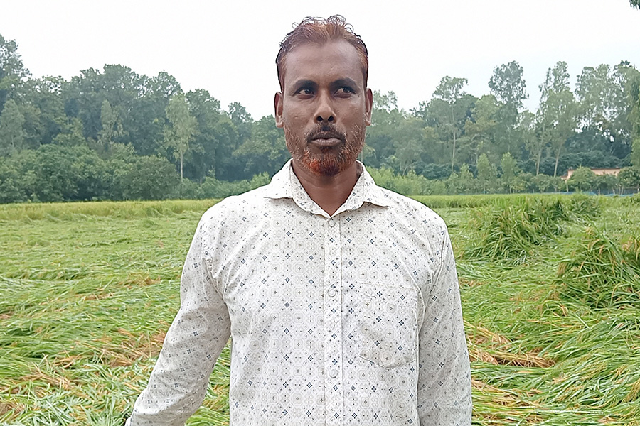 নবাবগঞ্জে অসময়ের টানা বৃষ্টিতে তলিয়ে গেছে ফসল