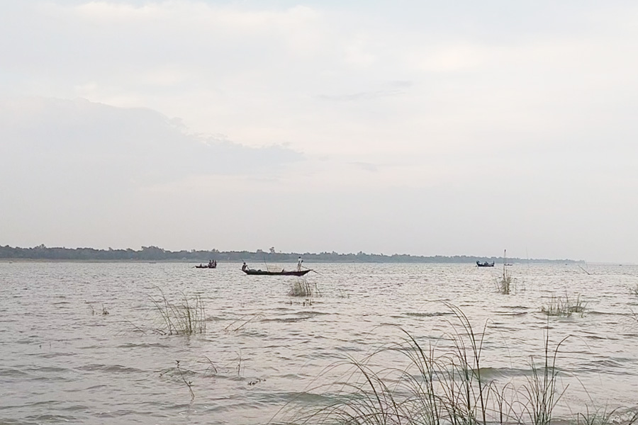 পাংশায় মৎস্য কর্মকর্তার উদাসীনতায় অবাধে চলছে ইলিশ নিধন