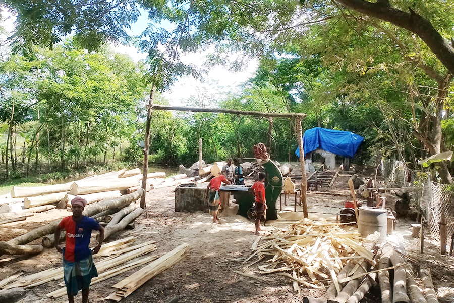 রাঙ্গাবালীতে লাইসেন্সবিহীন করাতকল, বন বিভাগের হুশিয়ারি