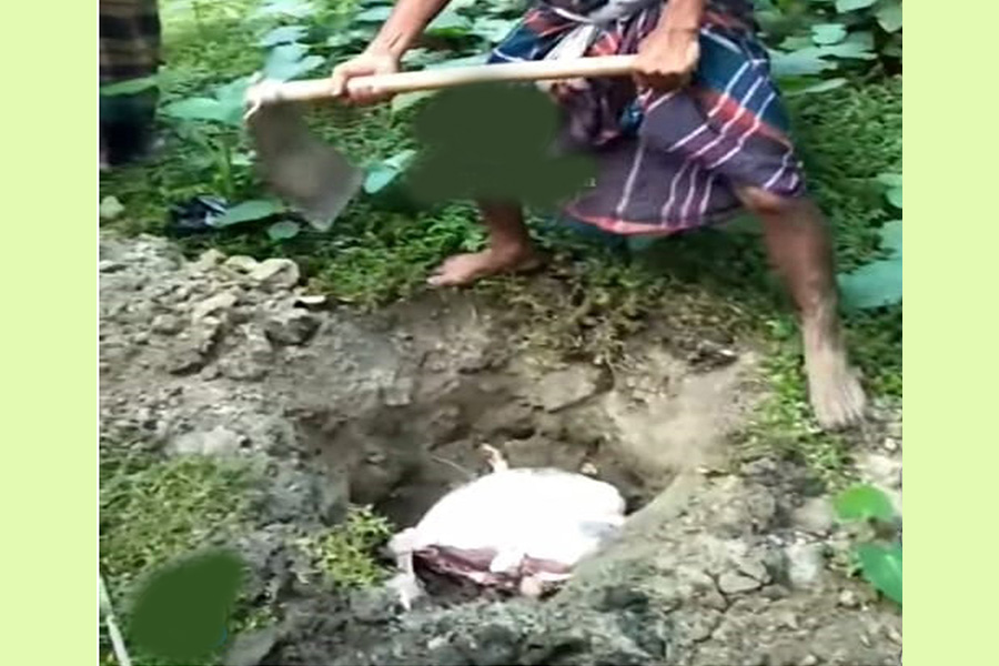 রাজারহাটে পঁচা-বাসী মাংস বিক্রি করার সময় কসাই আটক