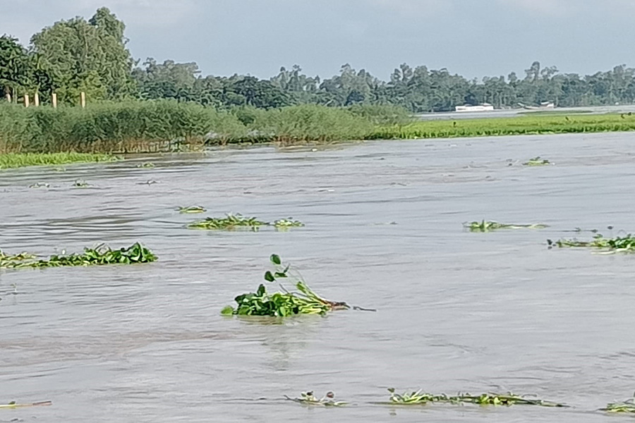 রাজারহাটে তিস্তা নদীতে পানি বেড়ে নিম্নাঞ্চল প্লাবিত