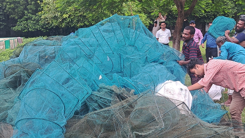 রাজবাড়ীতে ৭ লাখ টাকার চায়না দুয়ারি জাল জব্দ