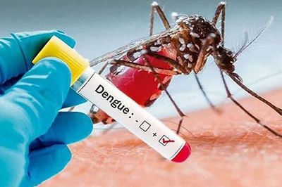 ডেঙ্গুতে দুই জনের মৃত্যু, হাসপাতালে ভর্তি ৩৯১