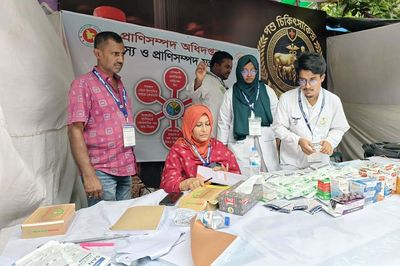 রাজধানীর পশুর হাটে বাকৃবি শিক্ষার্থীদের ভেটেরিনারি চিকিৎসাসেবা