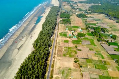 প্রধানমন্ত্রীর একটি সিদ্ধান্তেই রক্ষা পেলো ৩ হাজারেরও বেশি গাছ!